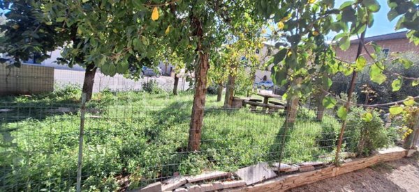 appartamento in vendita a Rapolano Terme