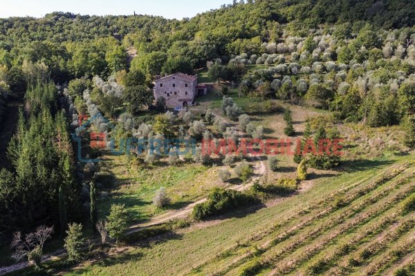 casale in vendita a Rapolano Terme