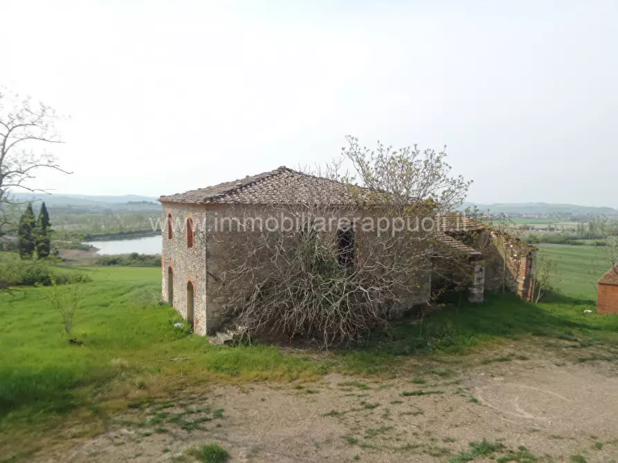 casa indipendente in vendita a Rapolano Terme