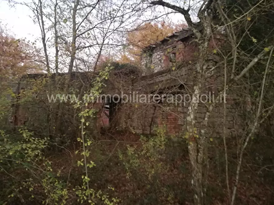 casa indipendente in vendita a Rapolano Terme