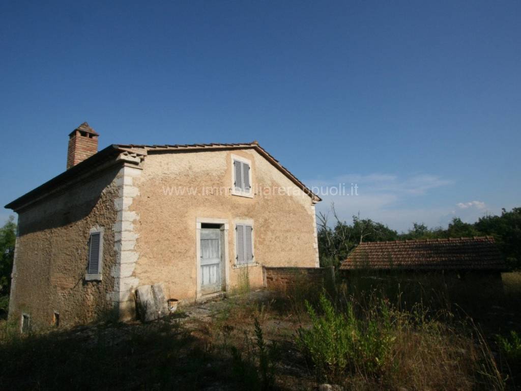 immagine annuncio 0 di 1