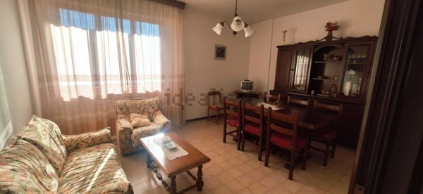 immagine annuncio 0 di 15