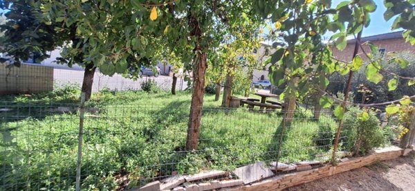 appartamento in vendita a Rapolano Terme