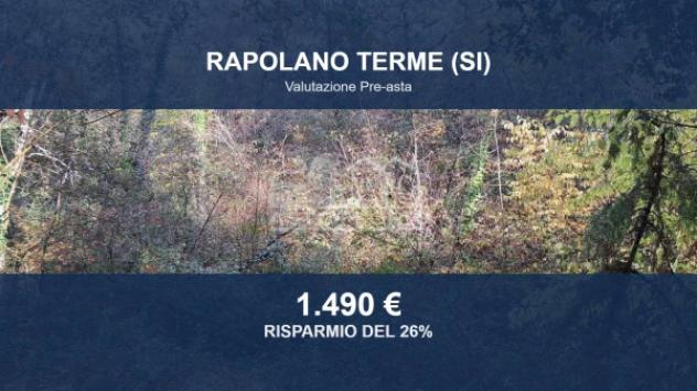 terreno agricolo in vendita a Rapolano Terme