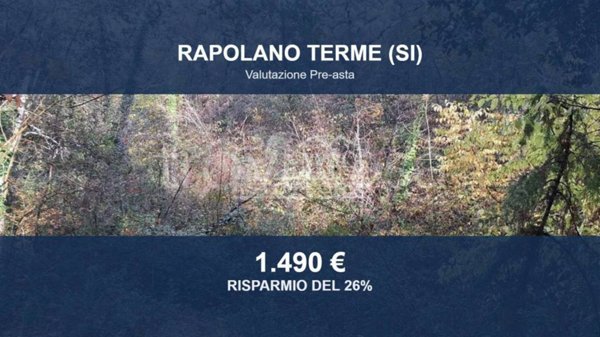 terreno agricolo in vendita a Rapolano Terme