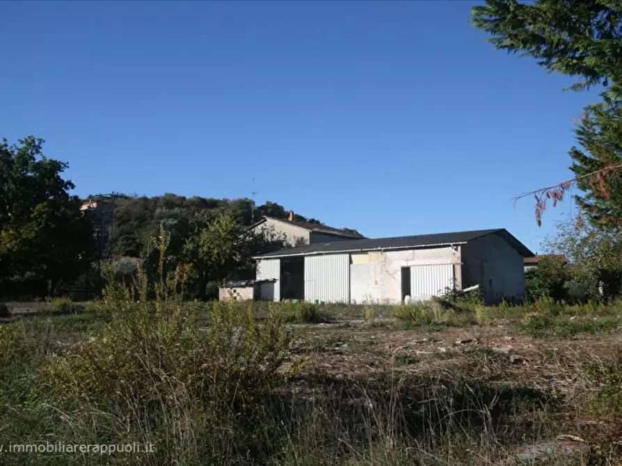 casa indipendente in vendita a Rapolano Terme in zona Serre di Rapolano