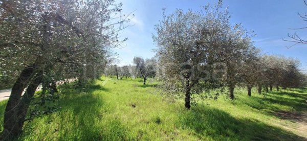 locale di sgombero in vendita a Rapolano Terme