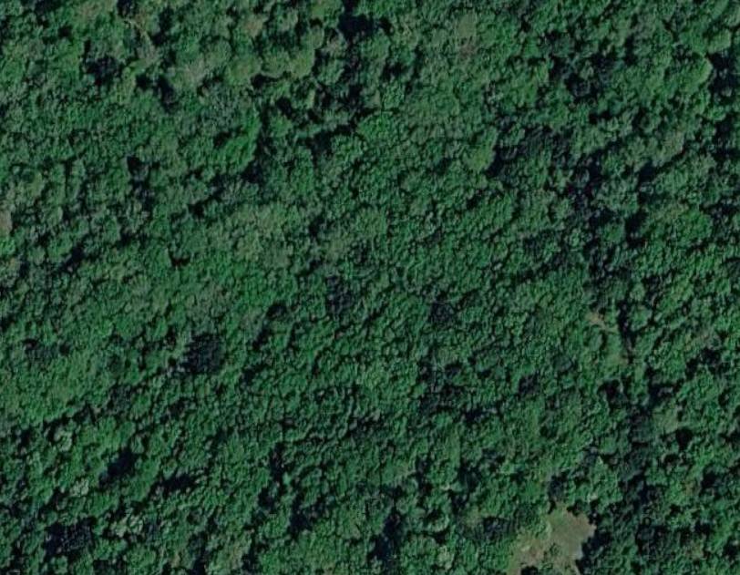 terreno in vendita a Rapolano Terme