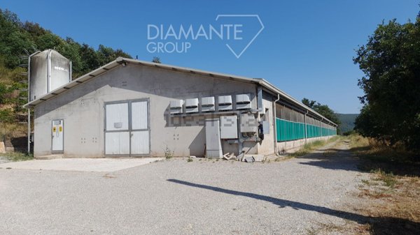 casale in vendita a Rapolano Terme