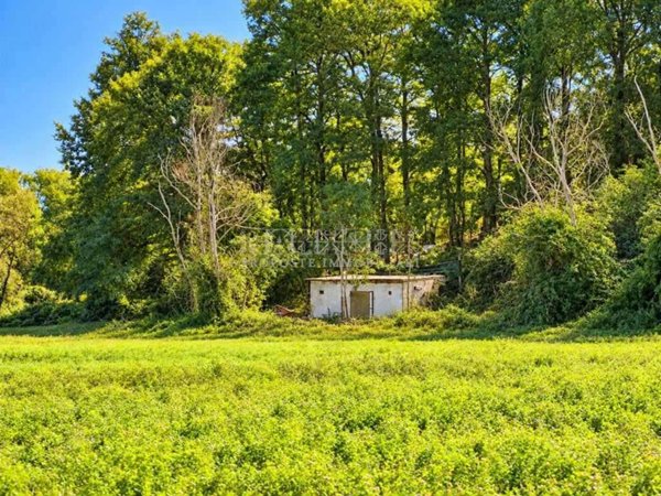 terreno agricolo in vendita a Rapolano Terme in zona Serre di Rapolano