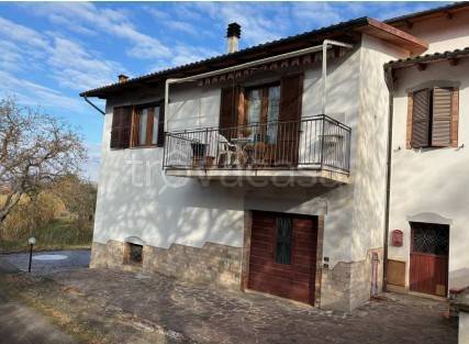 casa indipendente in vendita a Rapolano Terme in zona Armaiolo