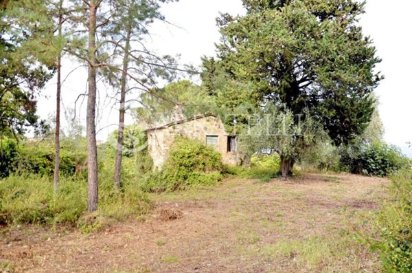 casa indipendente in vendita a San Casciano dei Bagni in zona Fighine