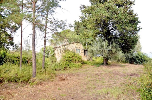 casale in vendita a San Casciano dei Bagni
