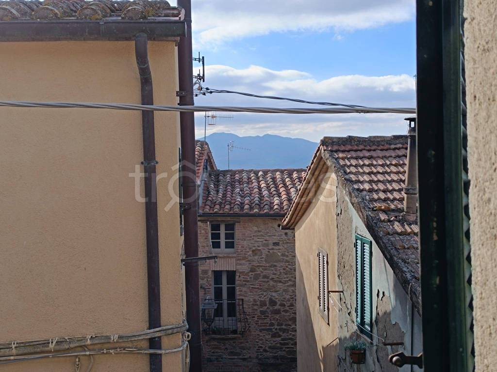 appartamento in vendita a San Casciano dei Bagni in zona Celle sul Rigo