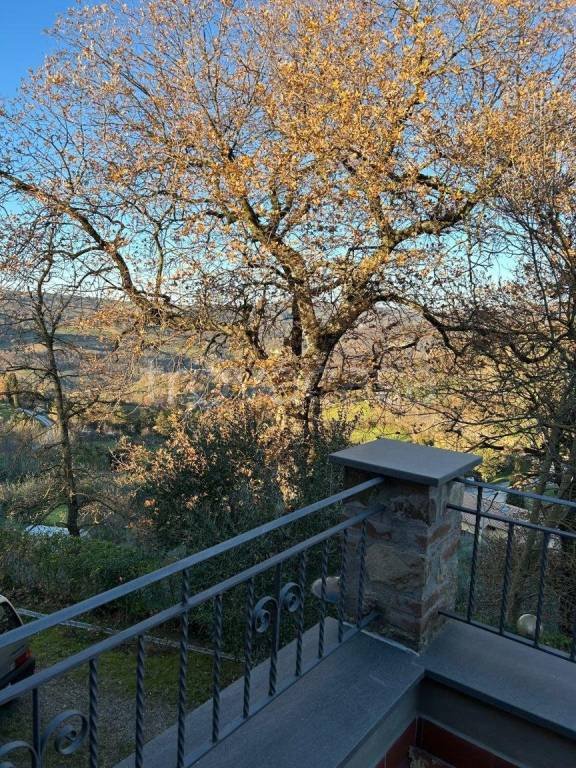 casa indipendente in vendita a San Casciano dei Bagni in zona Celle sul Rigo