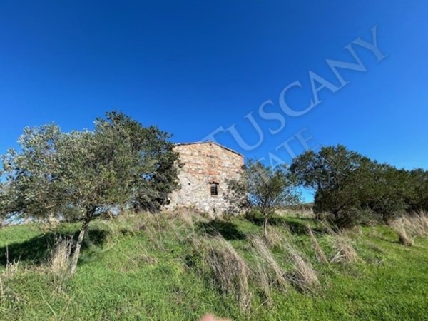 esavano in vendita a San Casciano dei Bagni in zona Celle sul Rigo