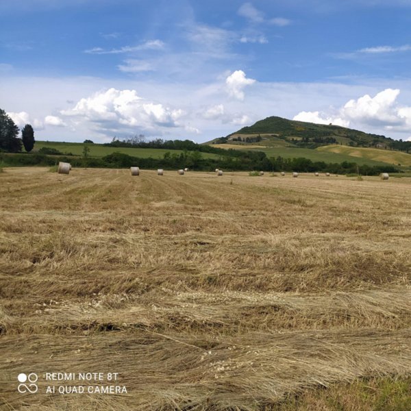 azienda agricola in vendita a San Casciano dei Bagni