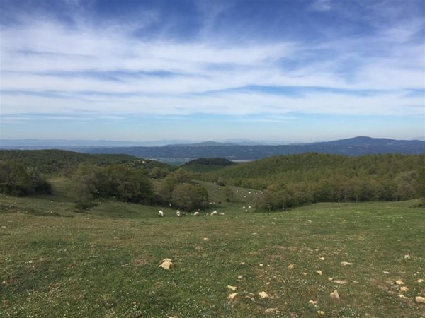 terreno agricolo in vendita a San Casciano dei Bagni