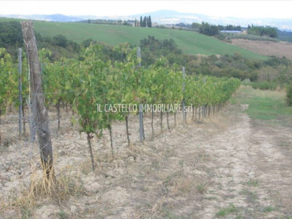 terreno agricolo in vendita a San Casciano dei Bagni in zona Palazzone