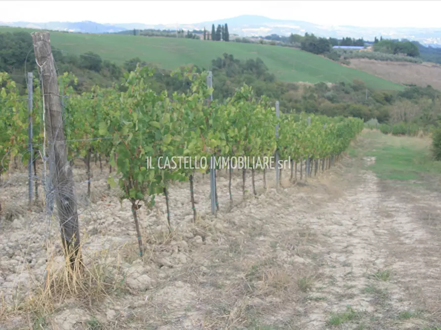 terreno agricolo in vendita a San Casciano dei Bagni in zona Palazzone