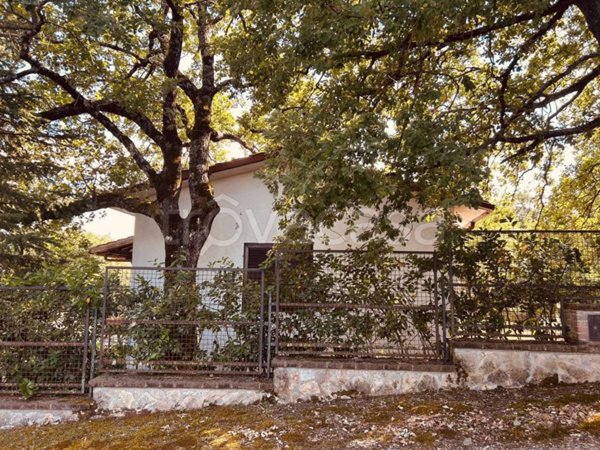 casa indipendente in vendita a San Casciano dei Bagni in zona Palazzone