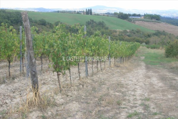 terreno agricolo in vendita a San Casciano dei Bagni in zona Palazzone