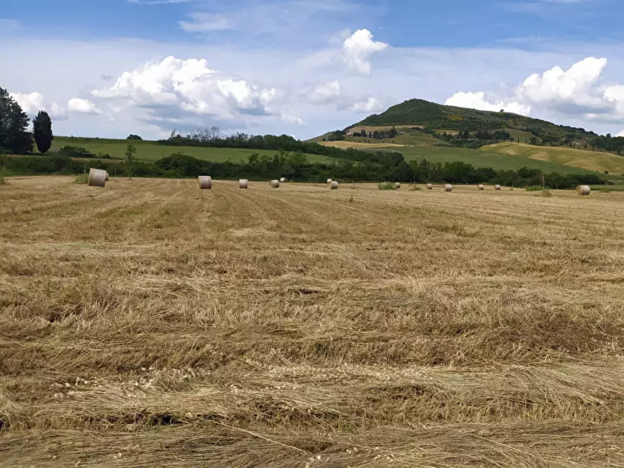 azienda agricola in vendita a San Casciano dei Bagni