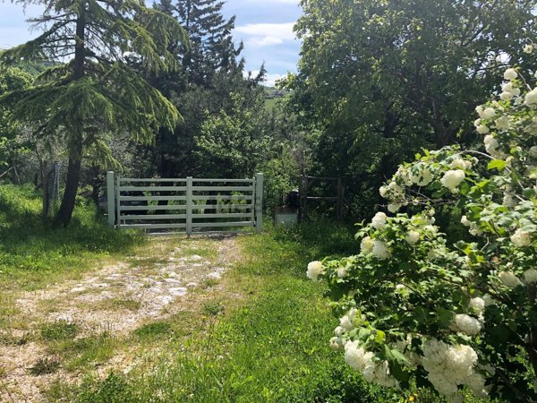 appartamento in vendita a San Casciano dei Bagni