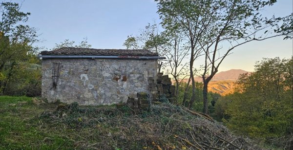 appartamento in vendita a San Casciano dei Bagni in zona Celle sul Rigo