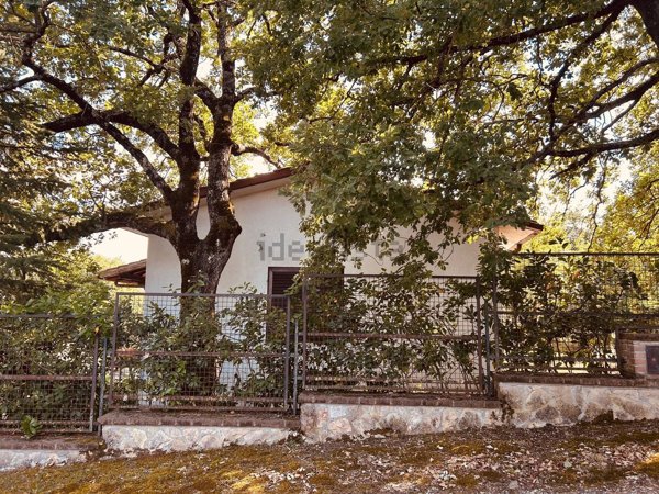 casa indipendente in vendita a San Casciano dei Bagni in zona Palazzone