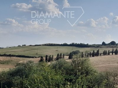 terreno agricolo in vendita a San Casciano dei Bagni