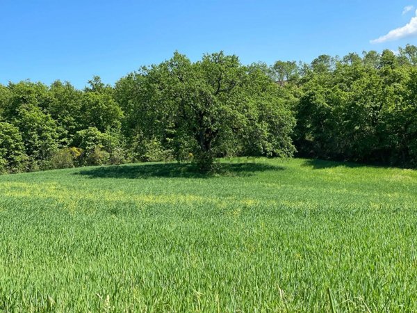casa indipendente in vendita a San Casciano dei Bagni