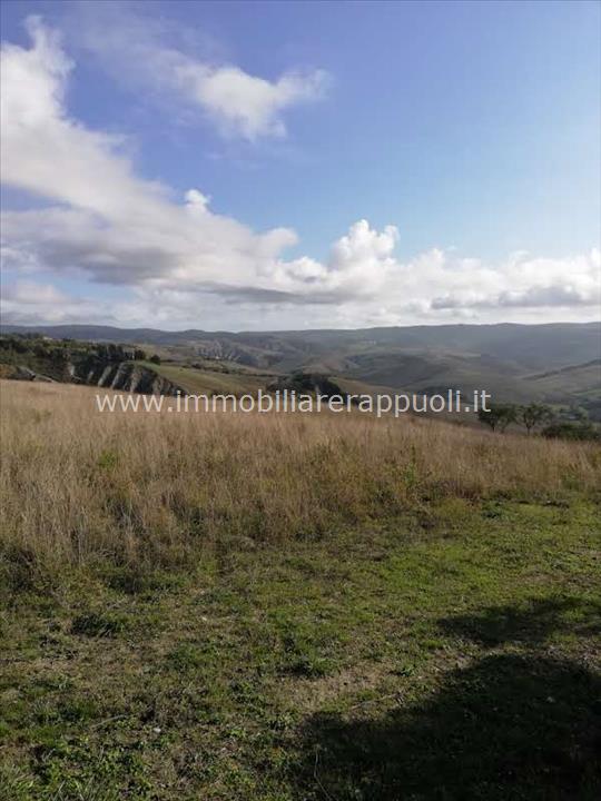 capannone in vendita a San Casciano dei Bagni