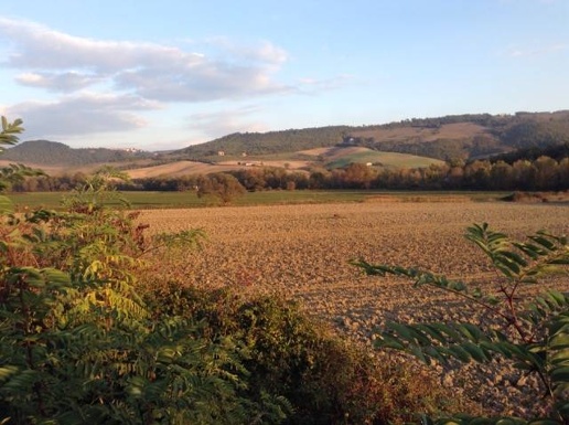 casale in vendita a San Casciano dei Bagni