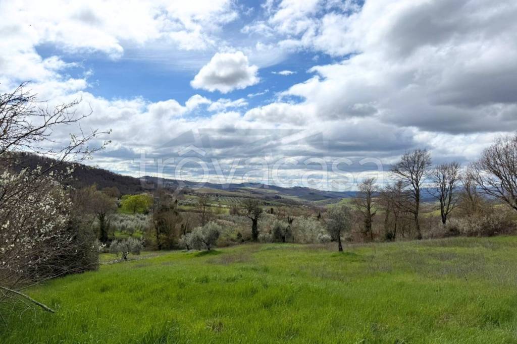 terreno agricolo in vendita a San Casciano dei Bagni