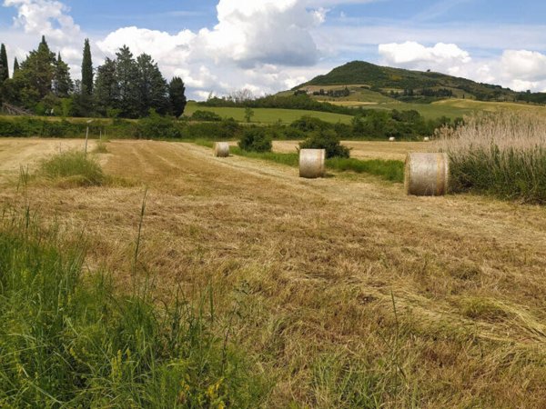 terreno in vendita a San Casciano dei Bagni