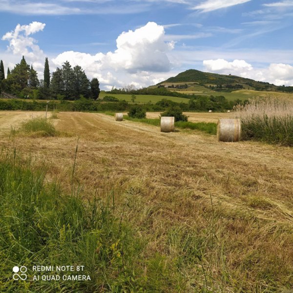 terreno in vendita a San Casciano dei Bagni