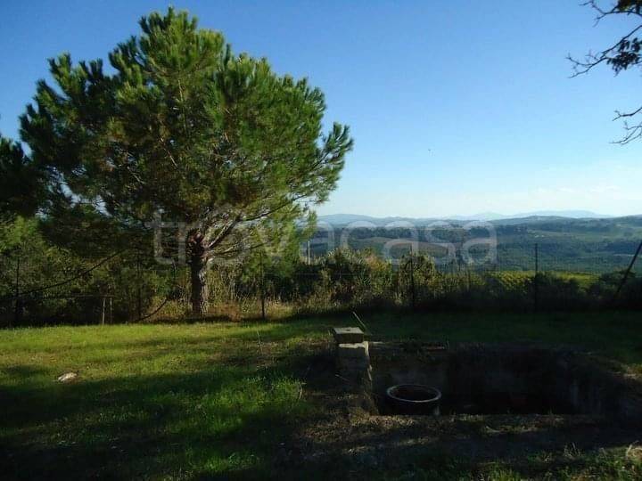 casa indipendente in vendita a San Gimignano