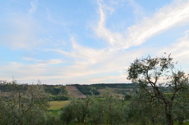 terreno agricolo in vendita a San Gimignano