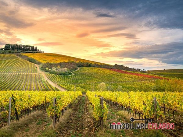 appartamento in vendita a San Gimignano
