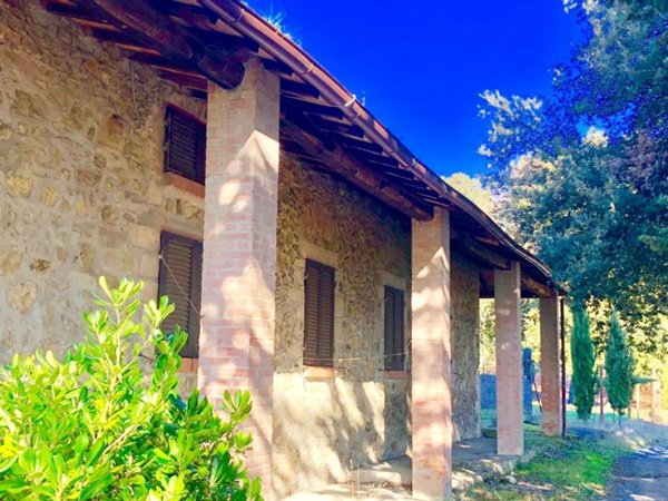 azienda agricola in vendita a San Gimignano