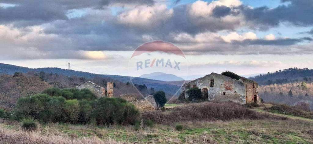 terreno agricolo in vendita a San Gimignano