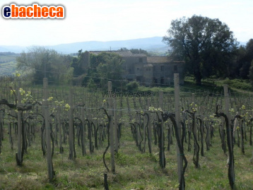 casa indipendente in vendita a San Gimignano
