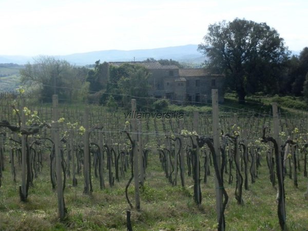 casa indipendente in vendita a San Gimignano