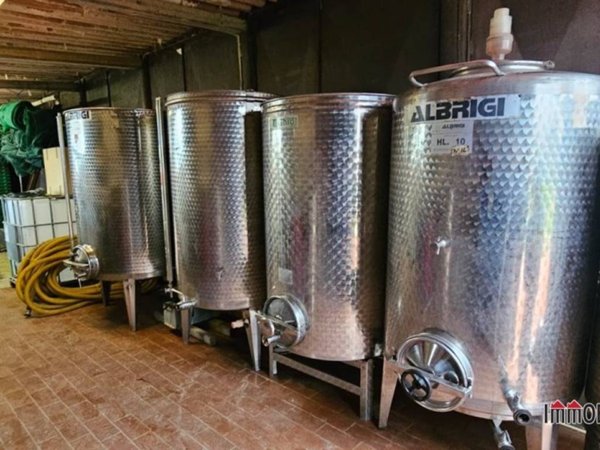 negozio in vendita a San Gimignano