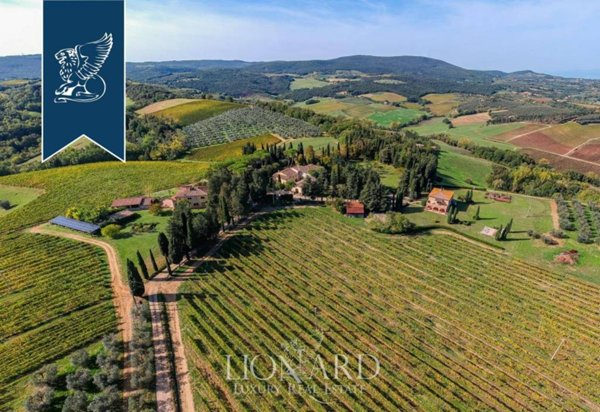 azienda agricola in vendita a San Gimignano