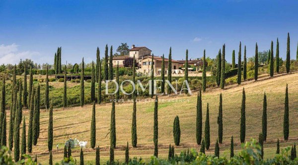 azienda agricola in vendita a San Gimignano