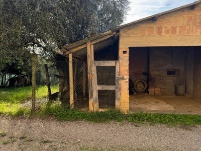 terreno agricolo in vendita a San Gimignano