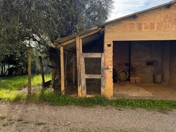 terreno agricolo in vendita a San Gimignano