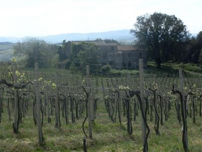 immagine annuncio 0 di 15